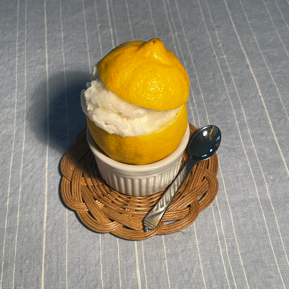 Honey Leucanthemum Coasters