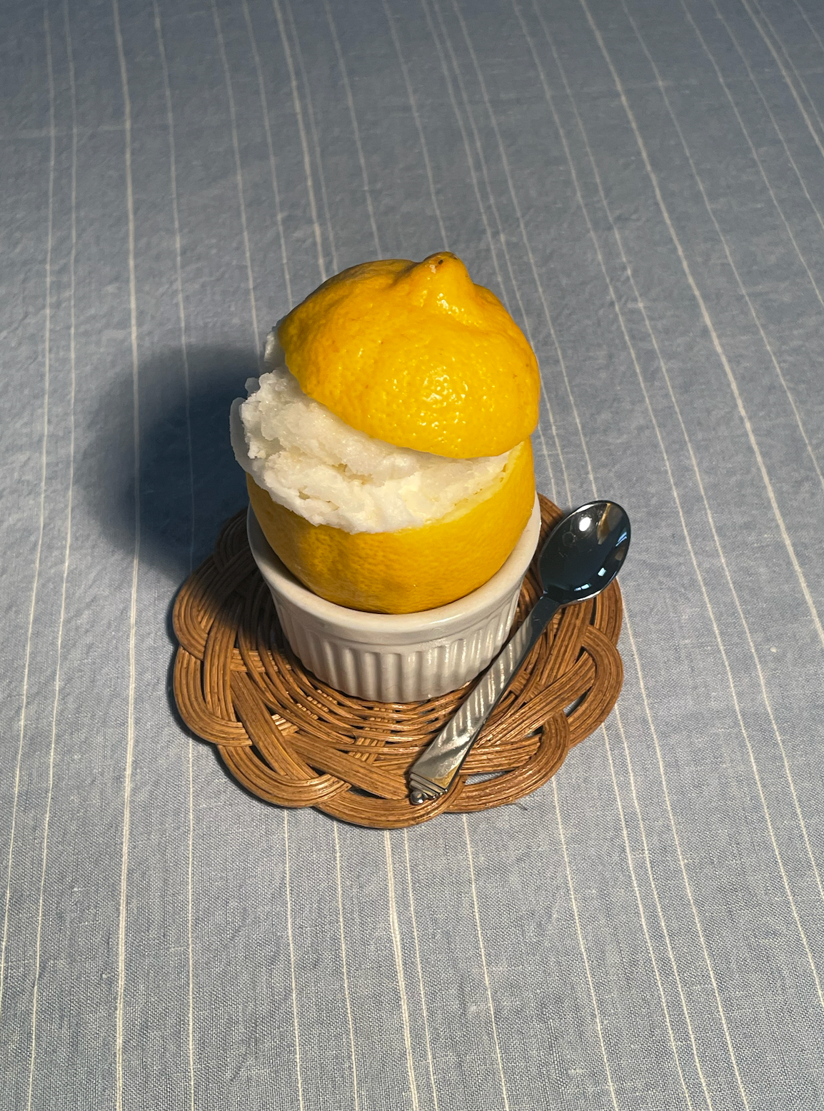Honey Leucanthemum Coasters