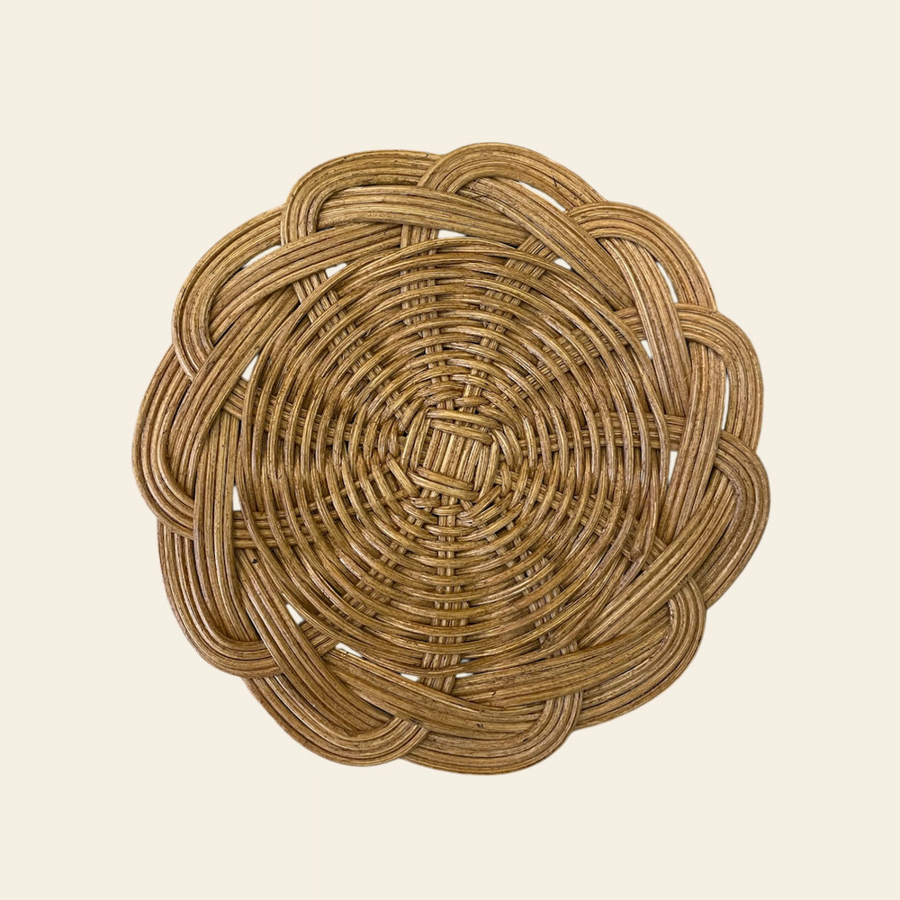 Honey Leucanthemum Coasters