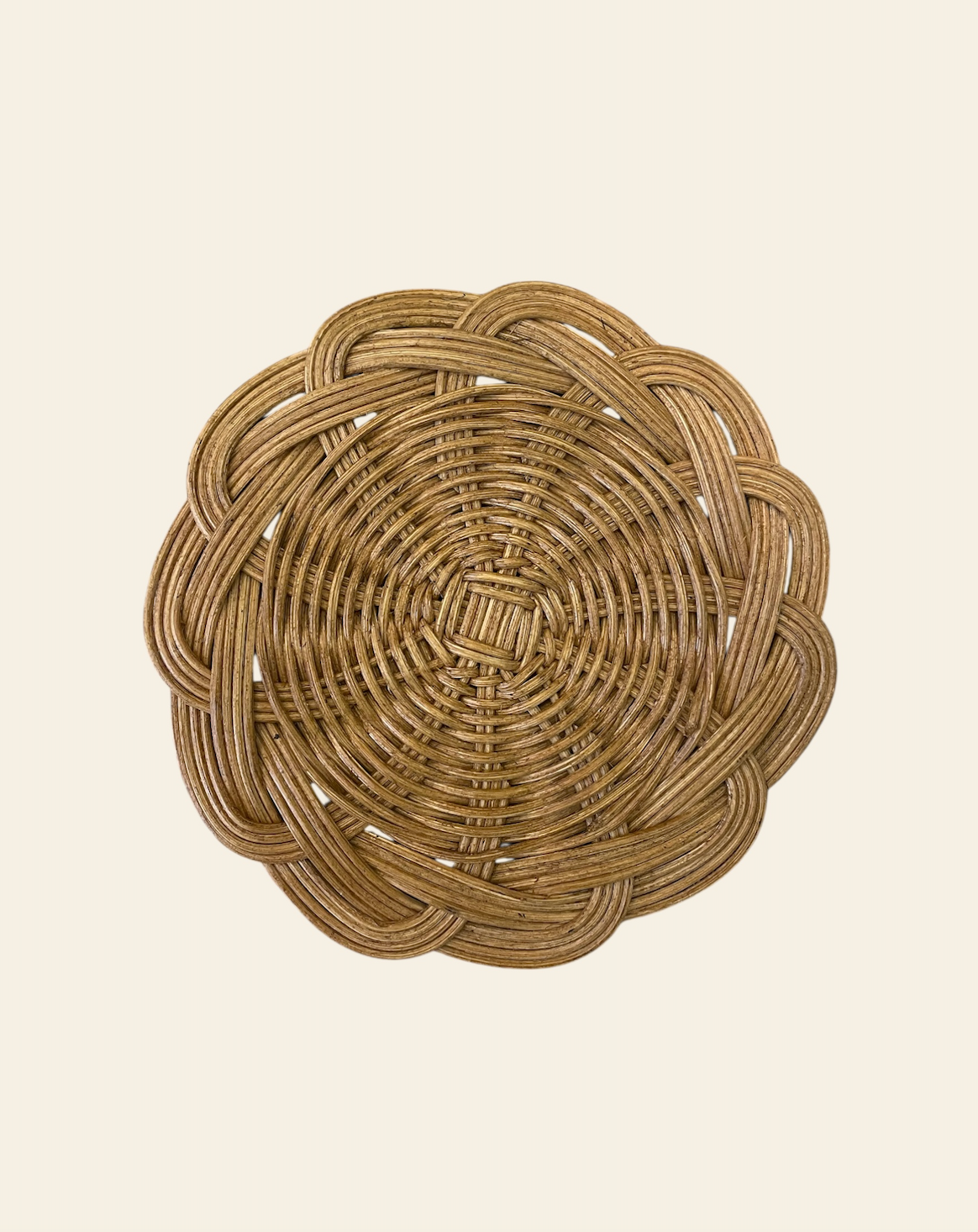 Honey Leucanthemum Coasters